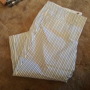 plus pinstripe crop pants nwt